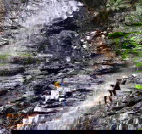 Full-Day Canyoning Experience at Stunning Empress Canyon - Holiday Cairns