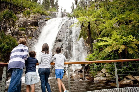 Lake Mountain Snow Trip Including Yarra Valley Chocolaterie From Melbourne - Holiday Cairns 0