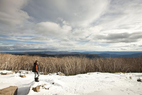 Lake Mountain Snow Trip Including Yarra Valley Chocolaterie From Melbourne - Holiday Cairns 5