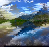 Noosa Everglades Serenity Cruise  Highlights Tour Inc. Lunch  Cruise - Holiday Cairns