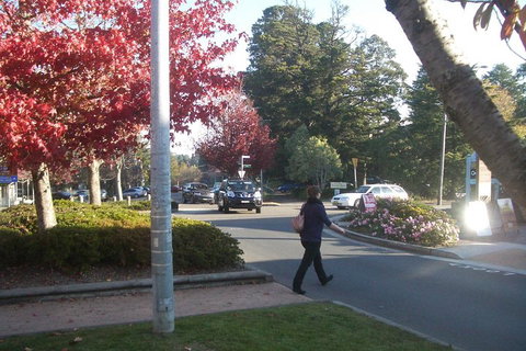 PRIVATE All-Day Blue Mountains Tour With Professional Guide For Up To 4 People - Holiday Cairns 1