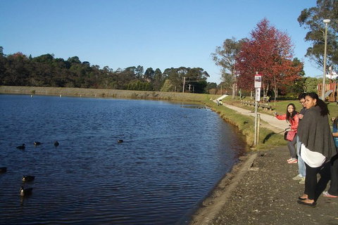 PRIVATE All-Day Blue Mountains Tour With Professional Guide For Up To 4 People - Holiday Cairns 2