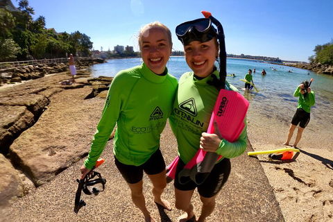 Manly Snorkel Trip And Nature Walk With Local Guide - Holiday Cairns 1