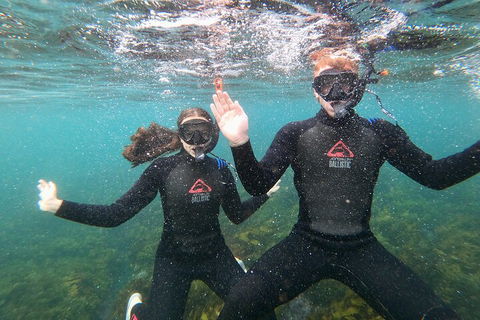 Manly Snorkel Trip And Nature Walk With Local Guide - Holiday Cairns 3
