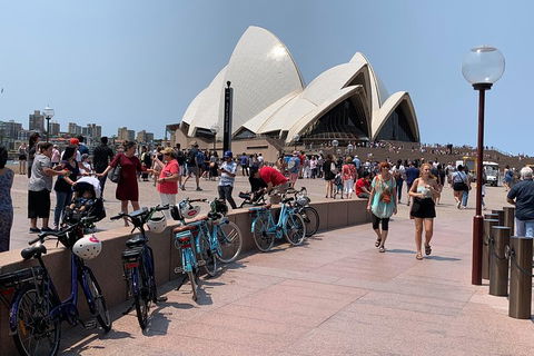 The Big Easy - Holiday Cairns 4