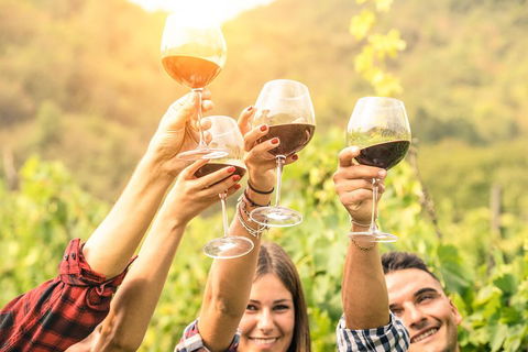Adelaide Hills Day Tour. Winery Cellar Doors - Holiday Cairns 0
