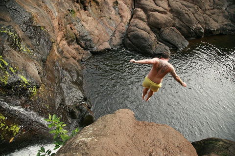 Hinterland Magic & Glow-worm Experience - Holiday Cairns 3
