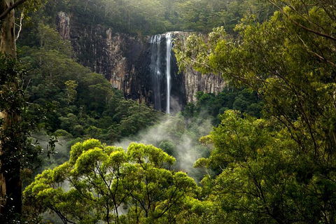 Hinterland Magic & Glow-worm Experience - Holiday Cairns 4