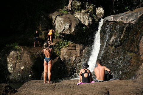 Hinterland Magic & Glow-worm Experience - Holiday Cairns 5