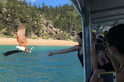 Aquascene Magnetic Island Discovery Tour - Holiday Cairns 2