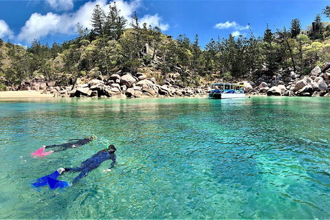 Aquascene Magnetic Island Discovery Tour - Holiday Cairns 4