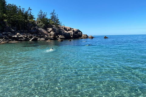Aquascene Magnetic Island Discovery Tour - Holiday Cairns 5