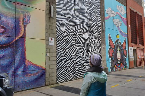 Jimmy C Street Art Walking Tour - Holiday Cairns 2
