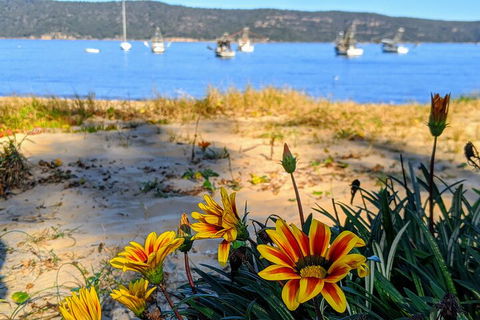Central Coast Explorer With 'Personalised Sydney Tours' - Holiday Cairns 2
