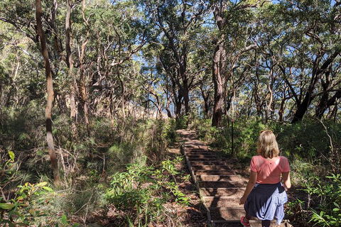 Central Coast Explorer With 'Personalised Sydney Tours' - Holiday Cairns 4