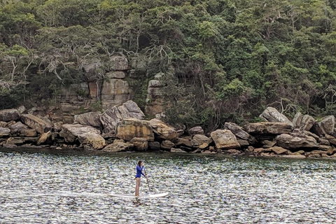 Manly & Sydney's Northern Beaches With 'Personalised Sydney Tours' - Holiday Cairns 3
