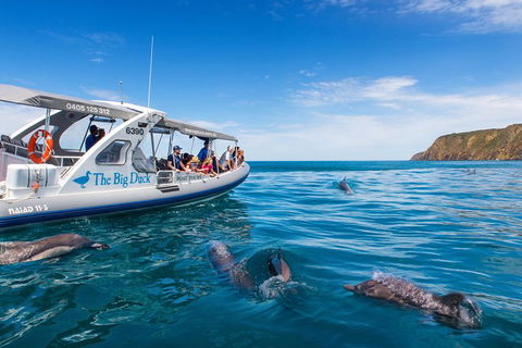 Victor Harbor And McLaren Vale Wine Region Day Tour - Holiday Cairns 1
