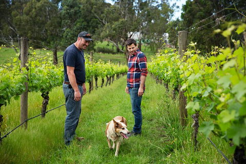 LGBT+ Friendly Full Day Yarra Valley & Dandenong Ranges Private Tour - Holiday Cairns 4