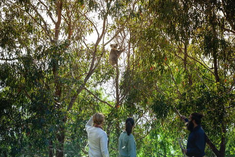 LGBT+ Friendly 3 Day Tour The Grampians, Daylesford & Ballarat - Holiday Cairns 4