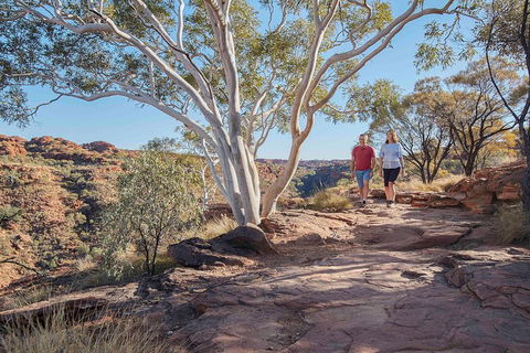 3-Day Tour From Uluru (Ayers Rock) To Alice Springs Via Kings Canyon - Holiday Cairns 1
