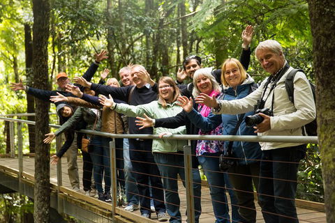 All Inclusive Blue Mountains Small-Group Day Trip From Sydney - Holiday Cairns 5