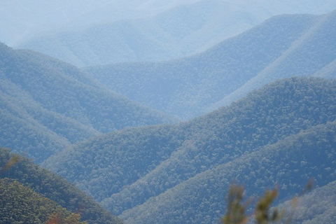 From The Mountains To The Bay - 4 Day Rediscovery Private Tour - Holiday Cairns 1