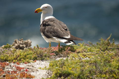 From The Mountains To The Bay - 4 Day Rediscovery Small Group Tour - Holiday Cairns 1