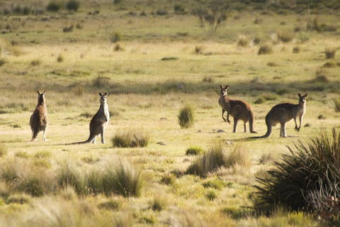 From The Mountains To The Bay - 4 Day Rediscovery Small Group Tour - Holiday Cairns 4