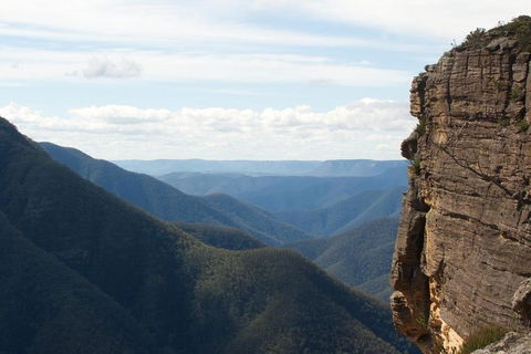 Inside The Greater Blue Mountains World Heritage - A Wildlife Safari Overnight - Holiday Cairns 4