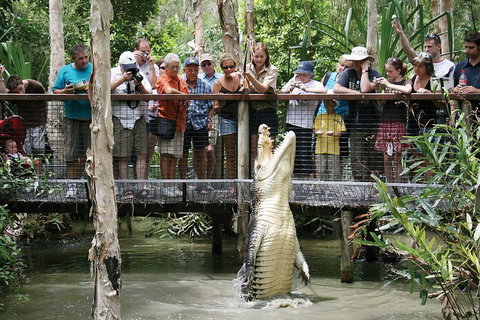 Hartley's Crocodile Adventure Half-Day Tour - Holiday Cairns 1