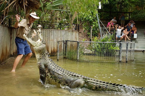 Hartley's Crocodile Adventure Half-Day Tour - Holiday Cairns 2
