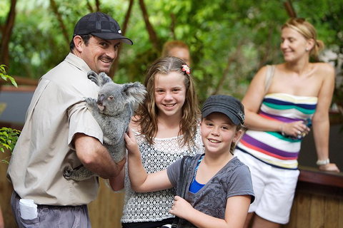 Hartley's Crocodile Adventure Half-Day Tour - Holiday Cairns 3