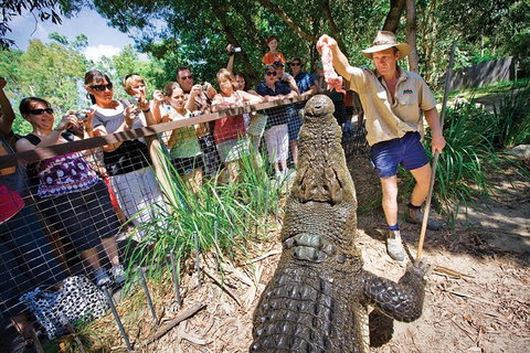 Hartley's Crocodile Adventure Half-Day Tour - Holiday Cairns 4