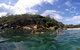 Manly And Shelly Beach Snorkeling Tour - thumb 4