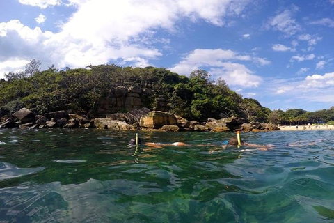 Manly And Shelly Beach Snorkeling Tour - Holiday Cairns 4
