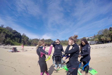 Manly And Shelly Beach Snorkeling Tour - Holiday Cairns 5