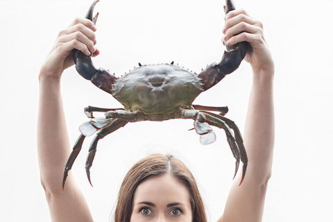 The Ultimate Gold Coast Attractions Pass - Holiday Cairns 0