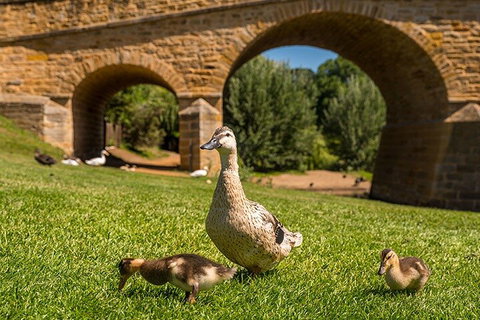 Richmond Historic Afternoon Tour From Hobart - Holiday Cairns 1
