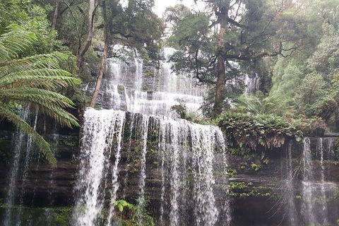 6-Day Hearty Tasmania Tour (Tasmania In A Circle) - Holiday Cairns 0