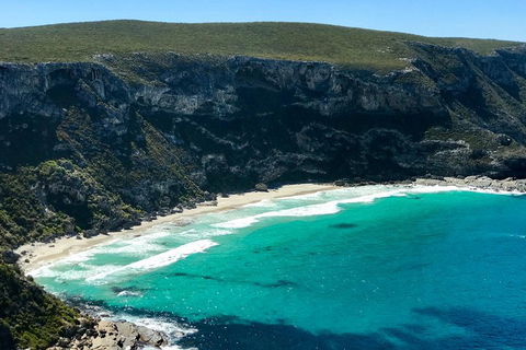 Kangaroo Island Scenic Trail Tour - Holiday Cairns 4