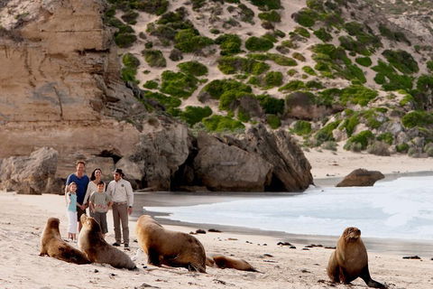 Kangaroo Island Scenic Trail Tour - Holiday Cairns 5