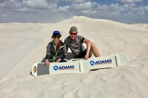 Full Day Pinnacle Desert Explorer From Perth Including Hillarys And Lancelin Sandboarding - Holiday Cairns 4