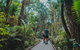 Full Day Cooktown Private Tour - thumb 0