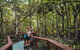 Full Day Cooktown Private Tour - thumb 1