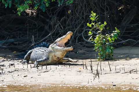 Full Day Cooktown Private Tour - Holiday Cairns 4
