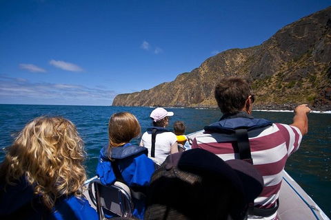Seal Island Boat Tour From Victor Harbor - Holiday Cairns 0