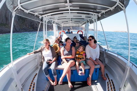 Seal Island Boat Tour From Victor Harbor - Holiday Cairns 1