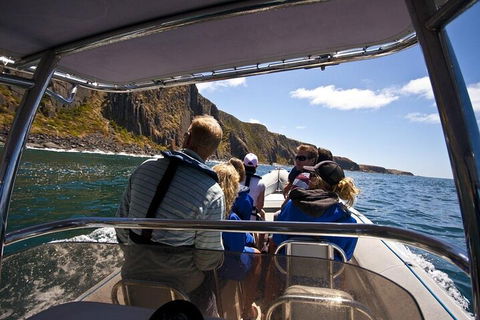 Seal Island Boat Tour From Victor Harbor - Holiday Cairns 2