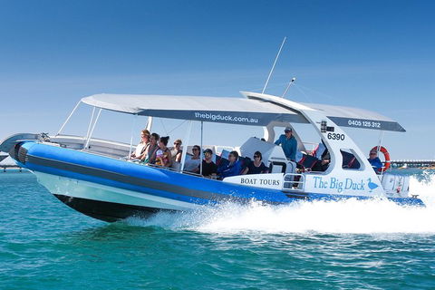 Seal Island Boat Tour From Victor Harbor - Holiday Cairns 3