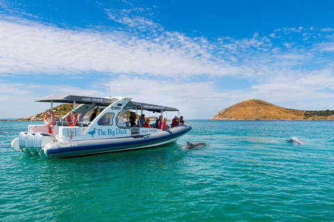 Southern Ocean Adventure From Victor Harbor - Holiday Cairns 1